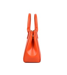 Minimalist Bright Handbag